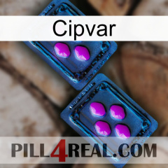 Cipvar 03